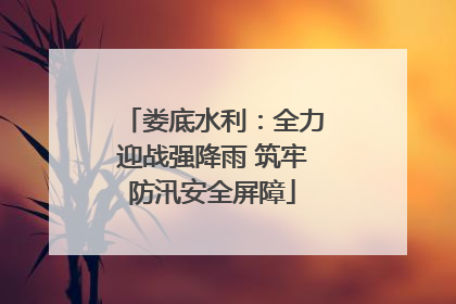 娄底水利：全力迎战强降雨 筑牢防汛安全屏障